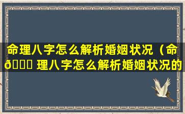命理八字怎么解析婚姻状况（命 💐 理八字怎么解析婚姻状况的）
